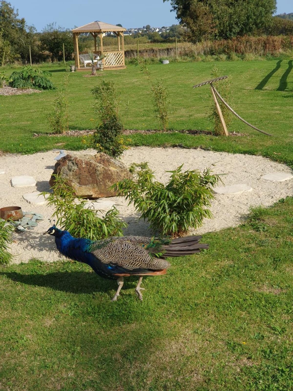 Bed and Breakfast La ferme de Lec'h Hameury à Plestin-les-Grèves Extérieur photo